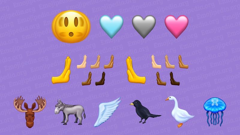 Bilder mehrerer neuer Emoticons, die für Emoji 15 in Betracht gezogen werden, darunter ein zitterndes Gesicht, schiebende Hände, ein rosa Herz, ein hellblaues Herz, ein graues Herz, ein Esel, ein Elch, ein schwarzer Vogel und eine Qualle