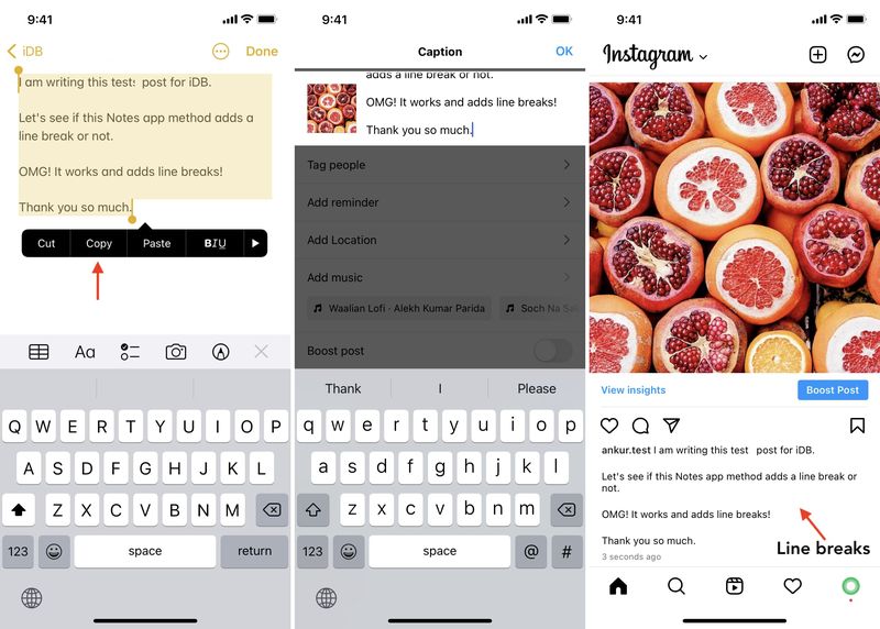 Fügen Sie mit der Notizen-App Zeilenumbrüche in Bildunterschriften, Kommentaren und Biografien von Instagram-Posts hinzu