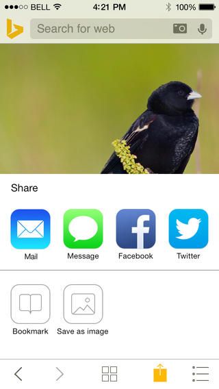 Bing 4.2 für iOS (iPhone-Screenshot 002)