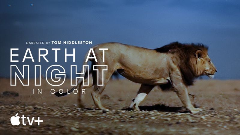 Apple TV+ veröffentlicht Trailer zur Dokumentation „Earth at Night in Color“.