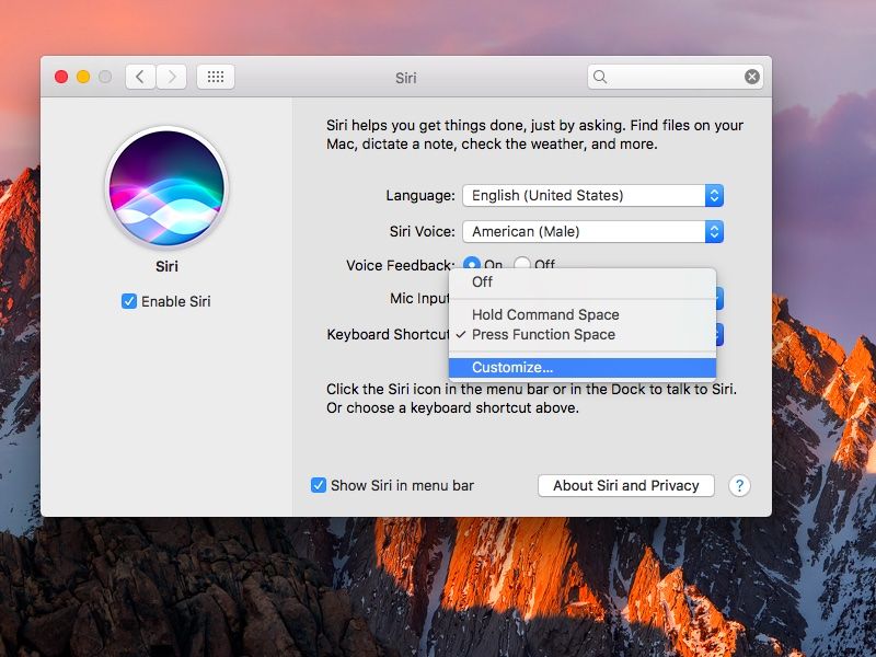 macOS Sierra Systemeinstellungen Siri passt Tastaturkürzel an, Screenshot 001