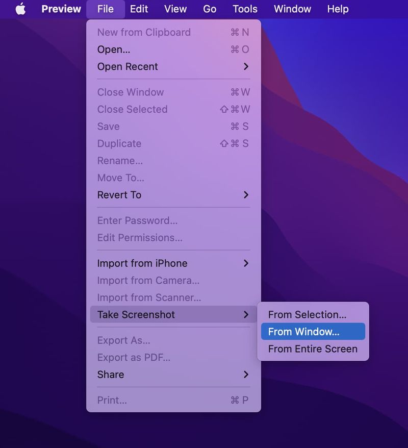 Machen Sie einen Screenshot mit der Vorschau auf dem Mac