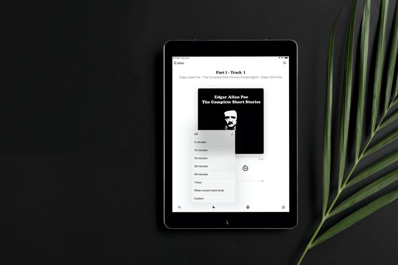 So stellen Sie einen Sleep-Timer für ein Hörbuch in Apple Books ein