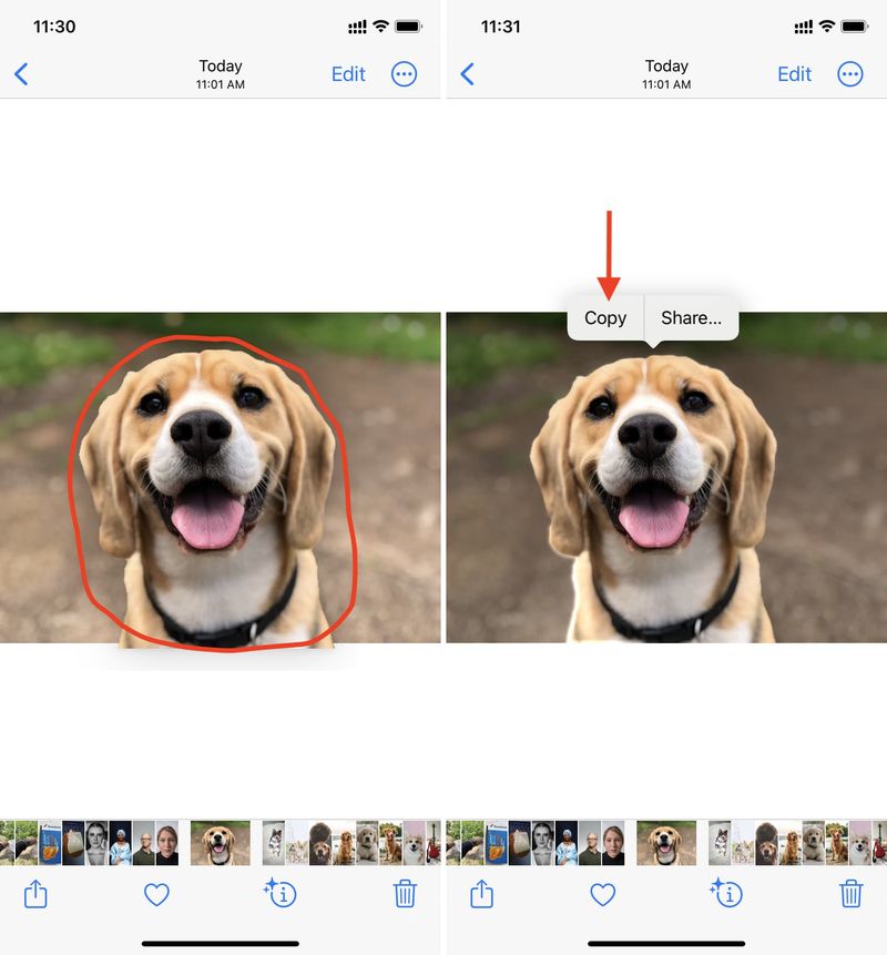 Extrahieren und kopieren Sie das Hauptthema aus der Fotos-App auf dem iPhone