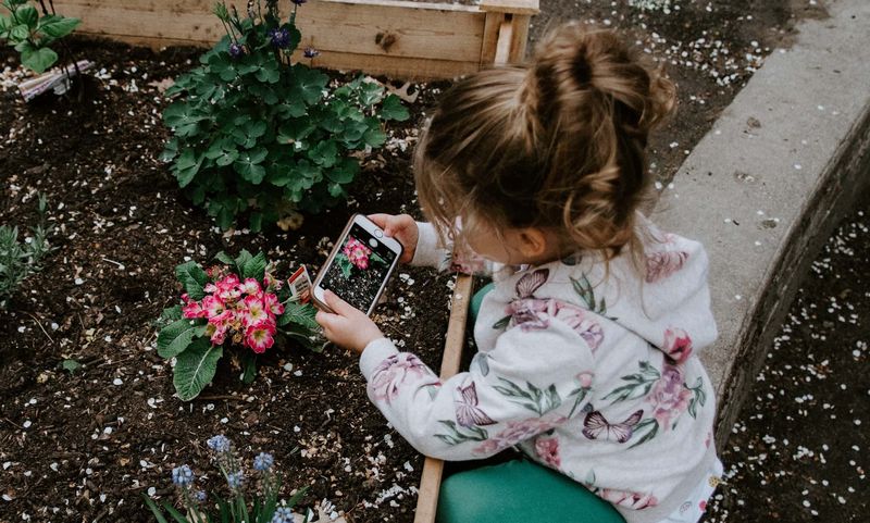 Kind macht mit dem iPhone ein Foto einer Blume