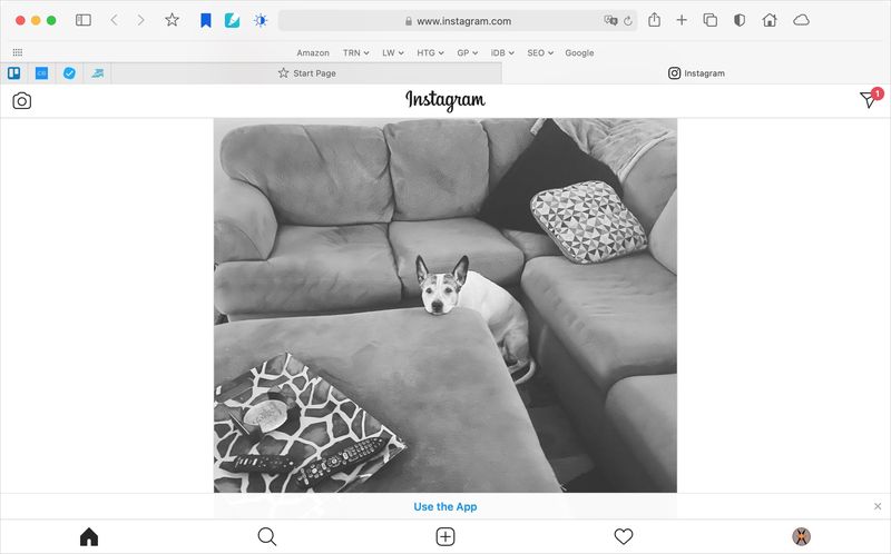 Instagram-Post von Safari auf dem Mac