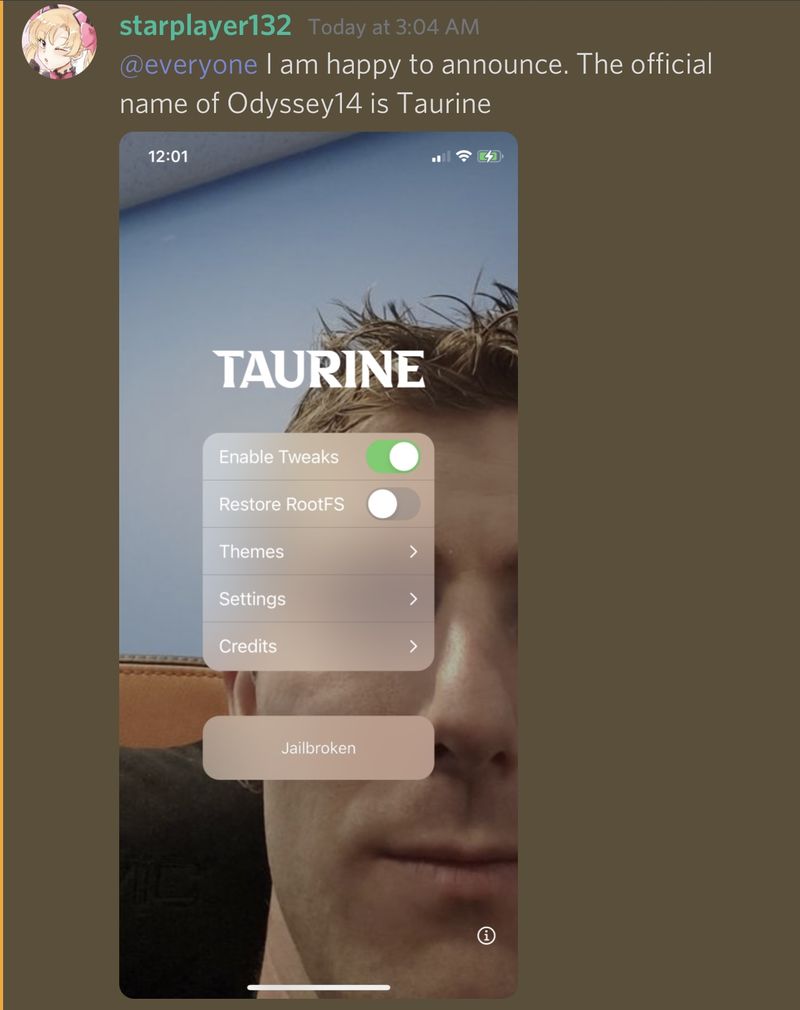 CoolStar kündigt bevorstehenden Taurine Jailbreak für iOS und iPadOS 14.0-14.3 an