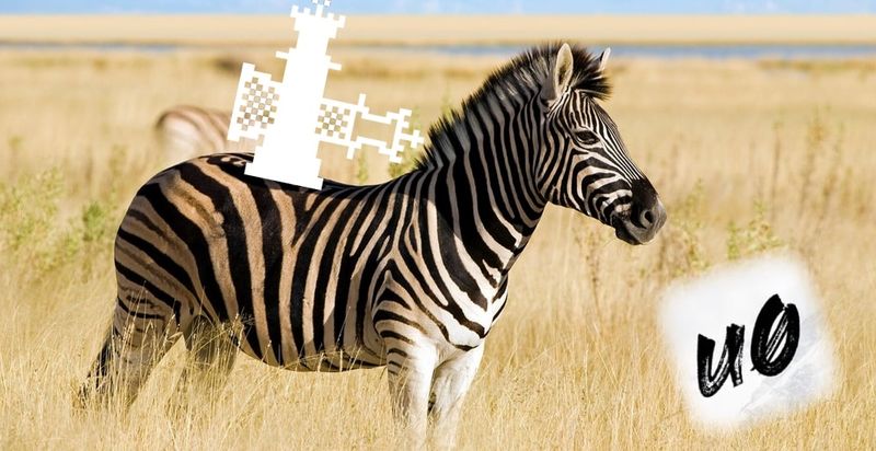 So installieren Sie Zebra auf einem Gerät mit Jailbreak