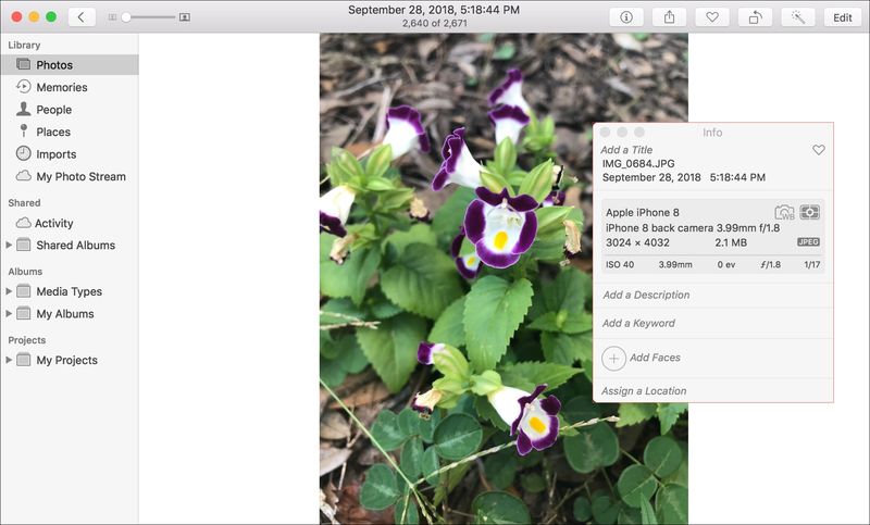 Photos App Mac-Metadatenfenster