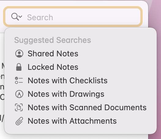 Suchleiste in der Notizen-App auf dem Mac