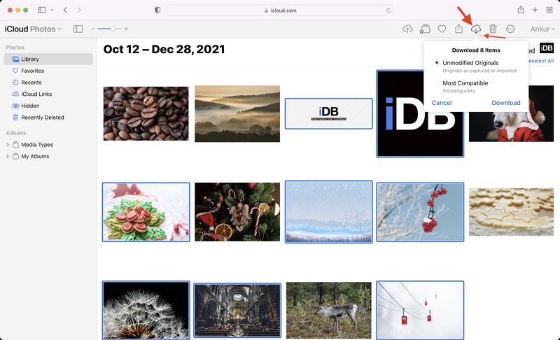 So können Sie Fotos in iCloud über einen Webbrowser anzeigen und herunterladen
