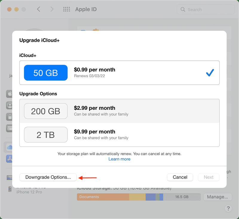 Downgrade-Optionen für iCloud auf dem Mac