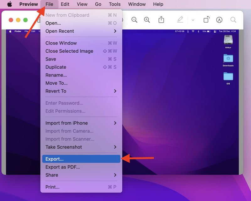 Dateiexport in der Vorschau auf dem Mac