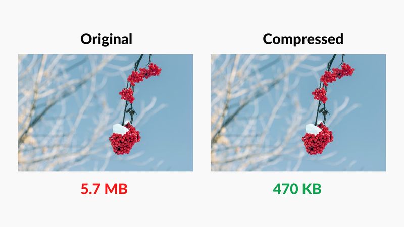 Vergleich von Original- und komprimierten Bildern Mac
