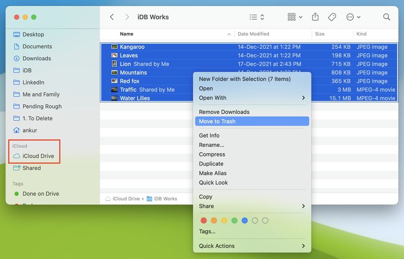 Löschen Sie Dateien in iCloud Drive auf dem Mac
