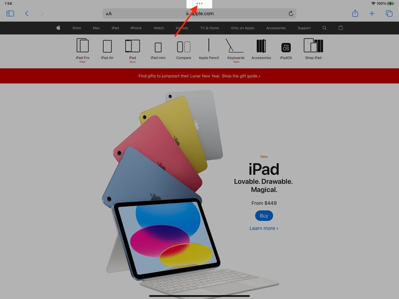 Multitasking-Schaltfläche oben in der iPad-App
