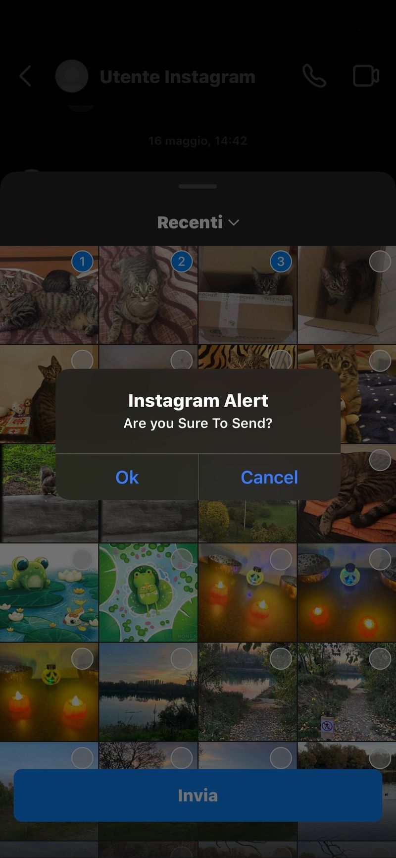 IGTidyMediaSend: Verhindern Sie versehentliche Mediendownloads auf Instagram