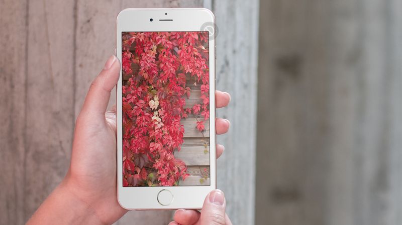 Von iOS 10 und der neuen Home-App inspirierte Hintergrundbilder