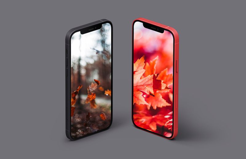 Machen Sie sich bereit für den Herbst mit diesen farbenfrohen iPhone-Hintergrundbildern