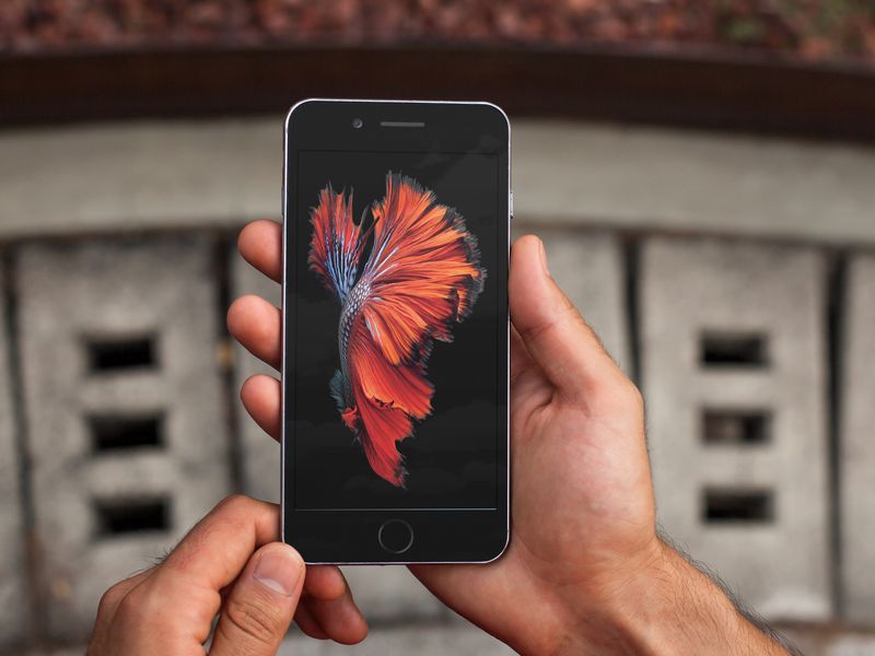Laden Sie kostenlose Hintergrundbilder für iPhone 6s herunter